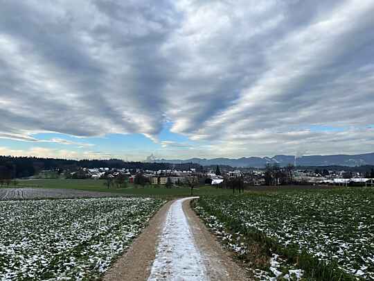 Mit Schnee bezuckerte Wiese