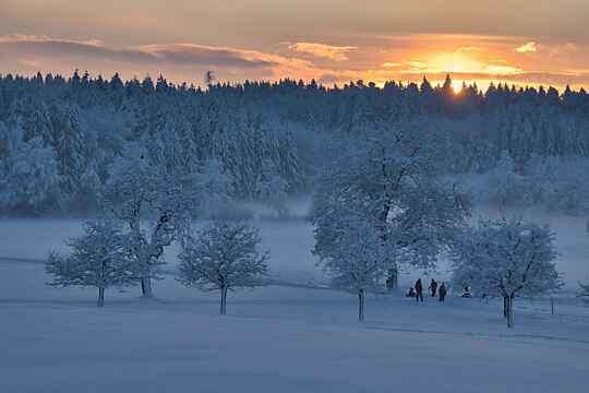 Winterlandschaft