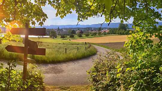 Ausblick mit Wegweiser