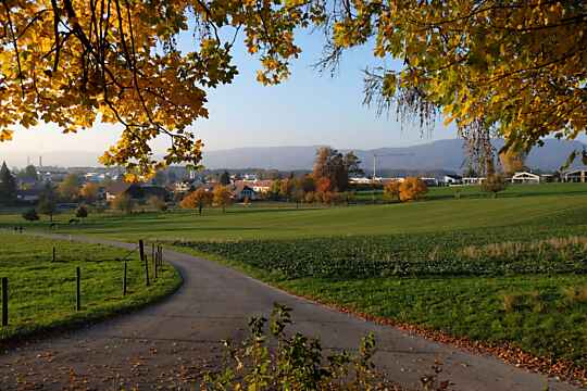 Ausblick
