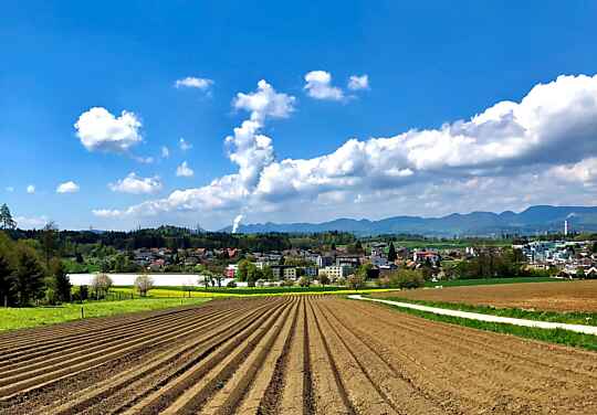 Feld