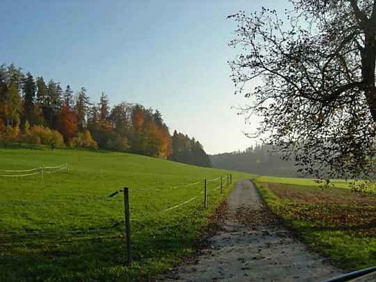 Zur Heuelmühle