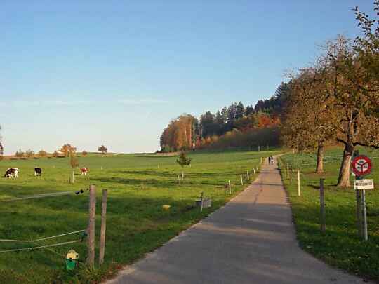 Gegen den Lotten