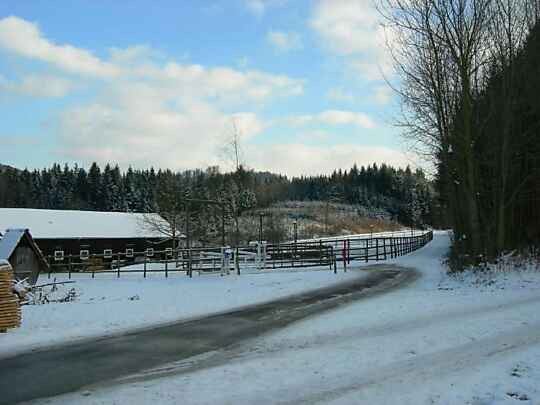Winter 2007 zum Wald
